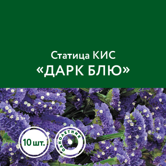 Статица КИС «Дарк Блю»