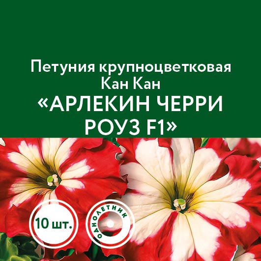 Цветы Петуния